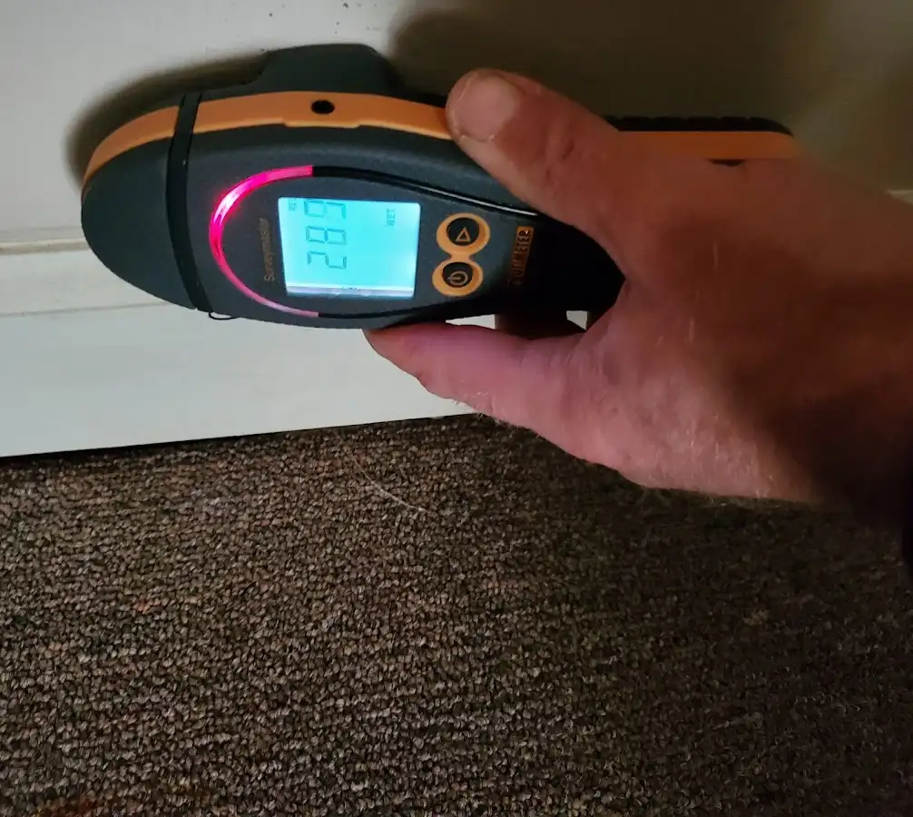 Moisture detection at baseboard during Sewage Cleanup & Sanitation in Summerfield